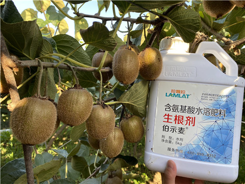 水溶肥，拉姆拉