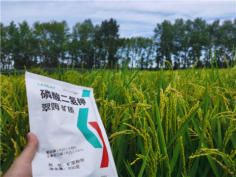 磷酸二氫鉀，拉姆拉，翠姆