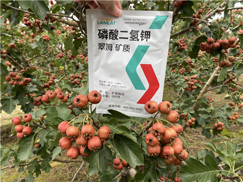 磷酸二氫鉀，拉姆拉，翠姆