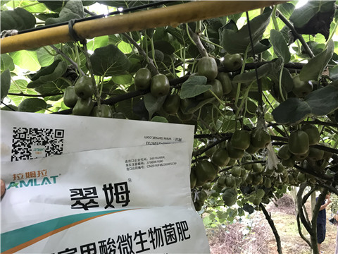 微生物菌劑，平衡顆粒復合肥，翠姆，拉姆拉