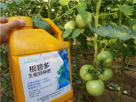 葉面肥，磷酸二氫鉀，微生物菌劑，翠姆，拉姆拉