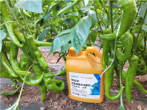 水溶肥，拉姆拉