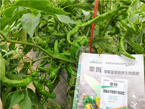 水溶肥，拉姆拉