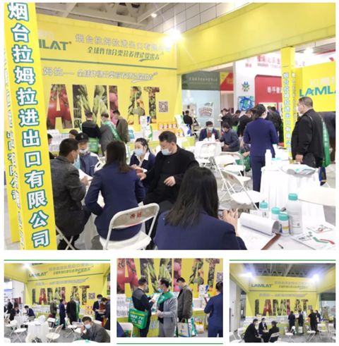 水溶肥，拉姆拉，翠姆