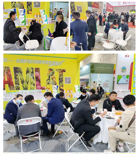 水溶肥，拉姆拉，翠姆