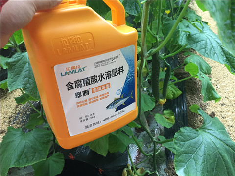 滴灌肥，拉姆拉，翠姆