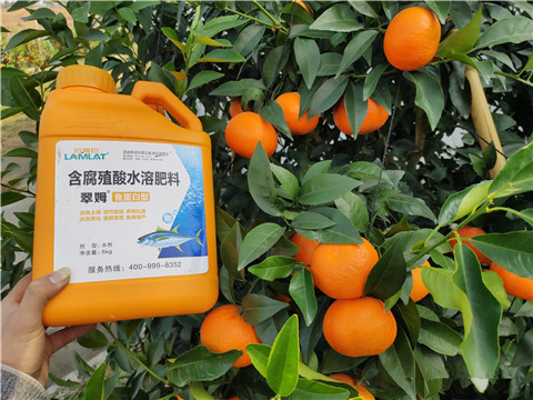 滴灌肥，拉姆拉，翠姆