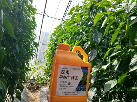 滴灌肥，拉姆拉，翠姆