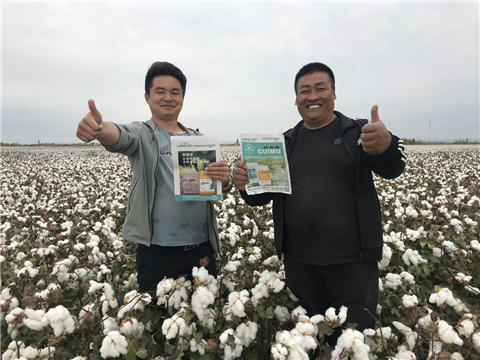 棉花，水溶肥，拉姆拉，翠姆