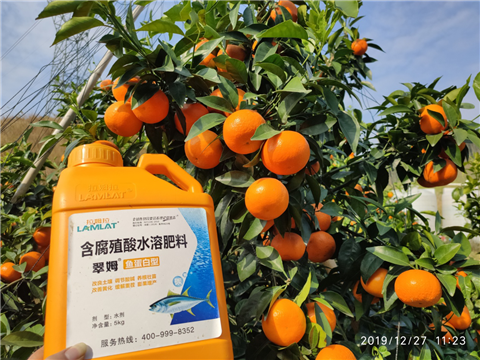 水溶肥，拉姆拉，翠姆