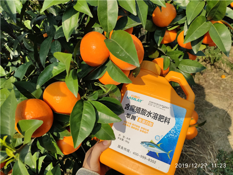 水溶肥，拉姆拉，翠姆