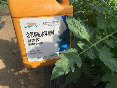 水溶肥，拉姆拉，翠姆