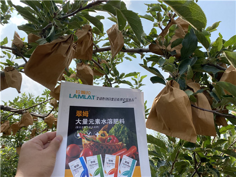 大量元素水溶肥，拉姆拉，翠姆