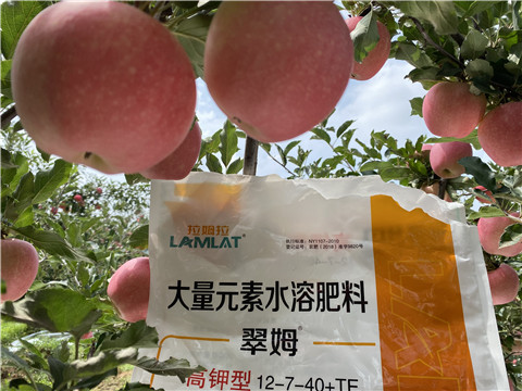 大量元素水溶肥，拉姆拉，翠姆