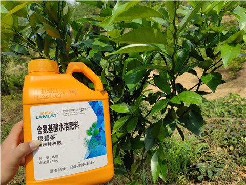 水溶肥，拉姆拉，翠姆