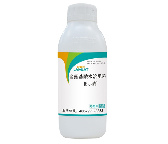 葉面肥，拉姆拉，伯示麥