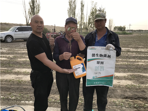 水溶肥，拉姆拉，翠姆