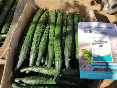 微生物菌劑，拉姆拉，翠姆