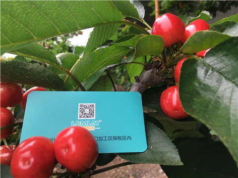 大量元素水溶肥，拉姆拉，翠姆