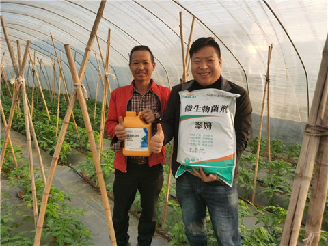 水溶肥，拉姆拉，翠姆