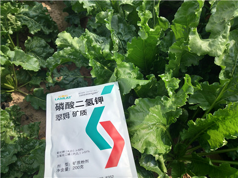 水溶肥，拉姆拉，翠姆