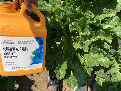 水溶肥，拉姆拉，翠姆