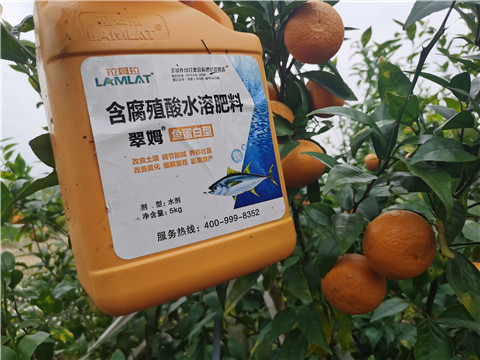 水溶肥，拉姆拉，翠姆