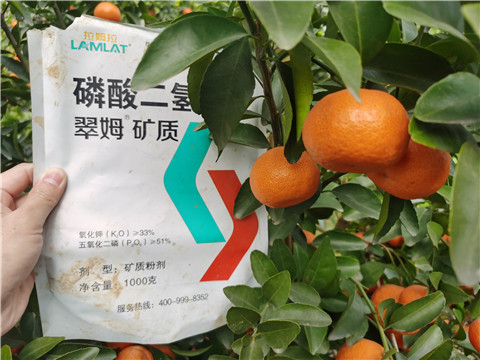 水溶肥，拉姆拉，翠姆