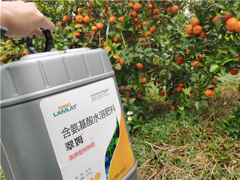 水溶肥，拉姆拉，翠姆
