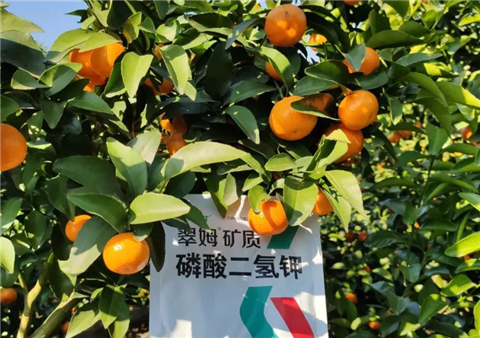 磷酸二氫鉀，拉姆拉，翠姆