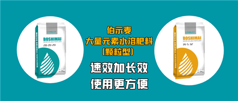顆粒肥，拉姆拉，翠姆