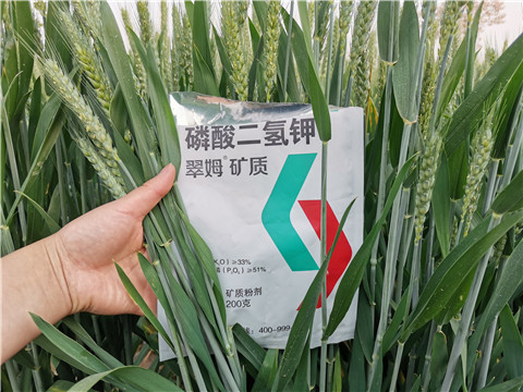 葉面肥，水溶肥，磷酸二氫鉀