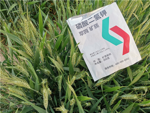 水溶肥，拉姆拉，翠姆