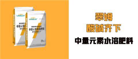 水溶肥，拉姆拉，翠姆