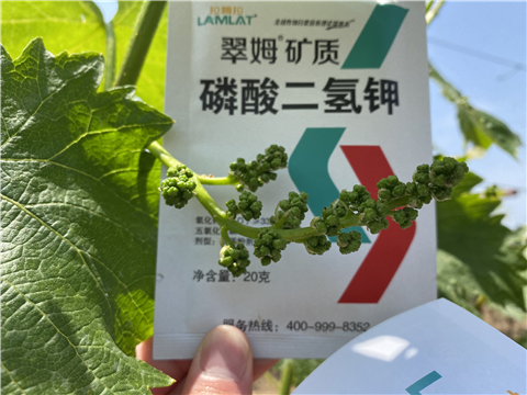 磷酸二氫鉀，拉姆拉，翠姆