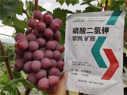 磷酸二氫鉀，拉姆拉，翠姆