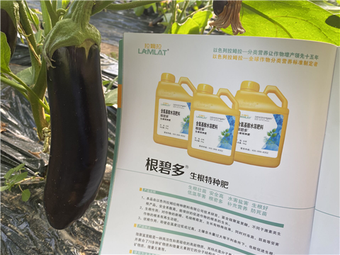 水溶肥，拉姆拉，翠姆