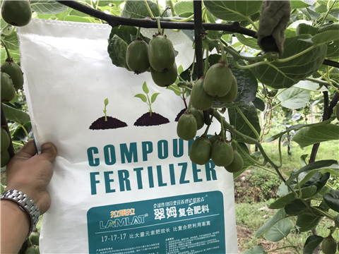 顆粒水溶肥，拉姆拉，翠姆