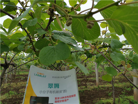 小分子有機碳，拉姆拉，翠姆