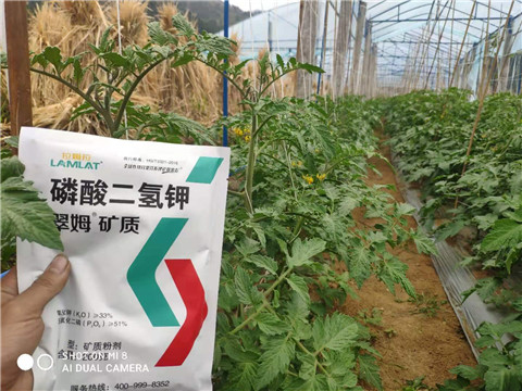 磷酸二氫鉀，拉姆拉，翠姆