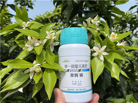 葉面肥，拉姆拉，翠姆