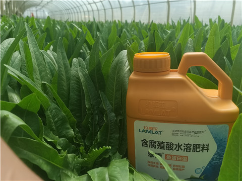 沖施肥，拉姆拉，翠姆
