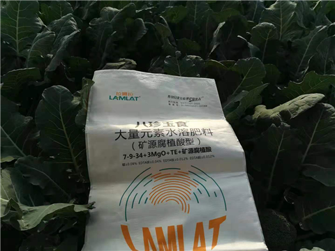 大量元素水溶肥，拉姆拉，翠姆