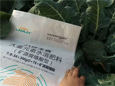 大量元素水溶肥，拉姆拉，翠姆
