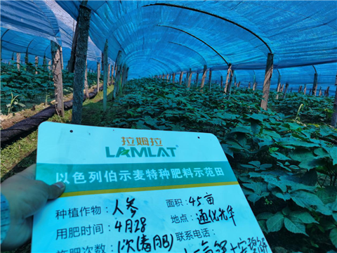 水溶肥，拉姆拉，翠姆
