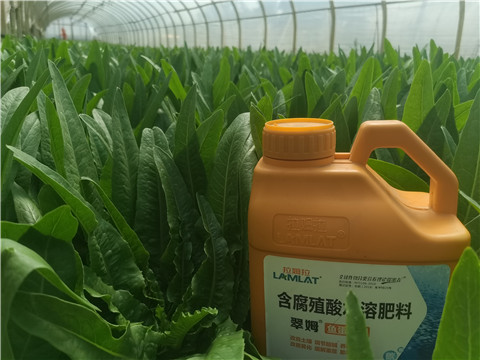 水溶肥，翠姆，拉姆拉