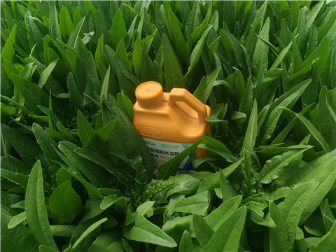 水溶肥，翠姆，拉姆拉