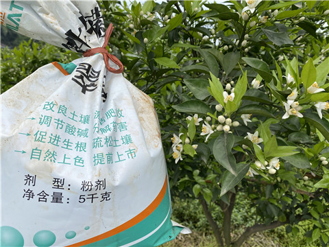 水溶肥，翠姆，拉姆拉