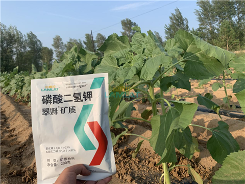 水溶肥，翠姆，拉姆拉
