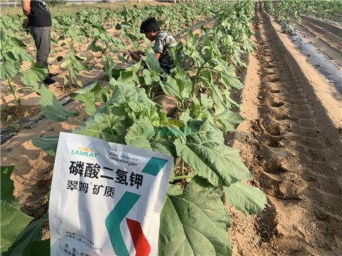 水溶肥，翠姆，拉姆拉